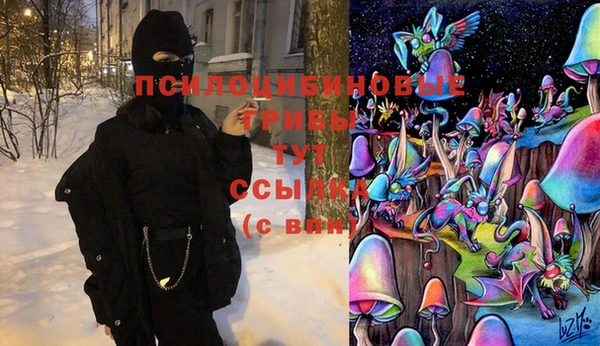apvp Покров
