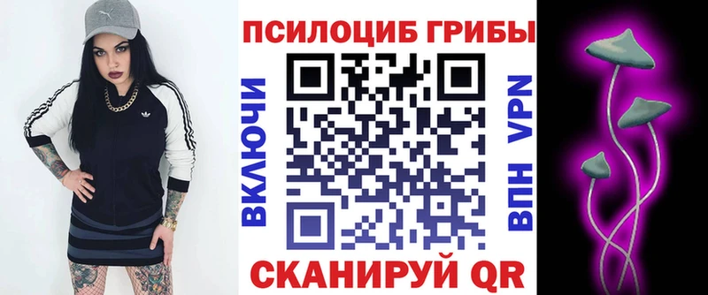Галлюциногенные грибы Psilocybe  наркошоп  Сорск 